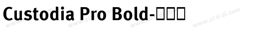 Custodia Pro Bold字体转换
